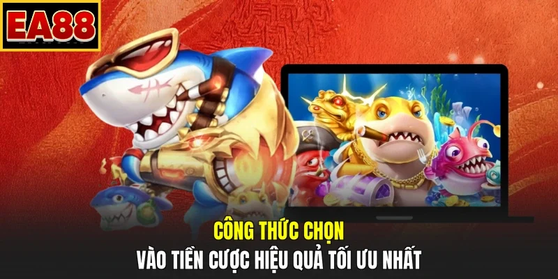 Công thức chọn vào tiền cược hiệu quả tối ưu nhất