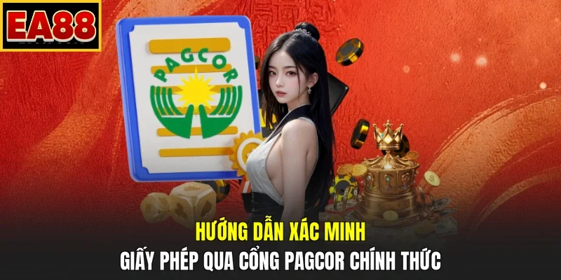 Hướng dẫn xác minh giấy phép qua cổng PAGCOR chính thức